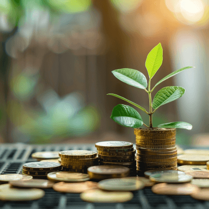 what is the meaning of locally invested