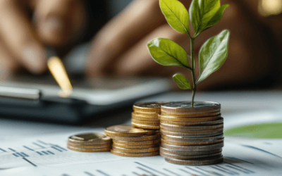 How To Invest Money Locally?