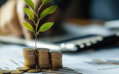 What Are Local Investments?