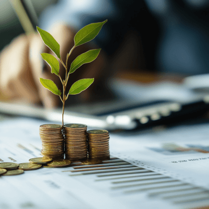 What are local investments