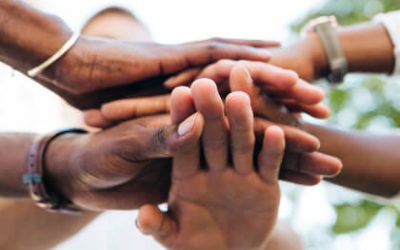 Are Unit Trusts Better Than Individual Stocks?